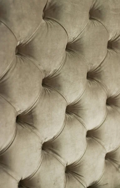 Tapicería de sofá acolchado de terciopelo de lujo con botones, hogar elegante — Foto de Stock