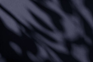 Soyut sanat, botanik gölgeler siyah arkaplan üzerine örtülmüş 