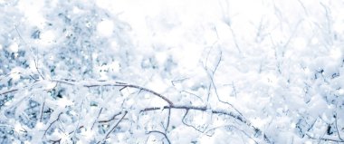 Kış tatili arka plan, parlak kar ve Co ile doğa manzarası