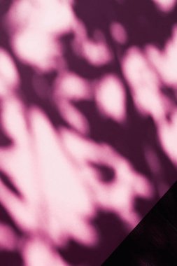 Soyut sanat, pembe arka planda botanik gölgeler