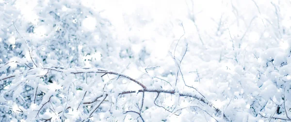 寒假背景,自然风光与闪亮的雪和合作 — 图库照片