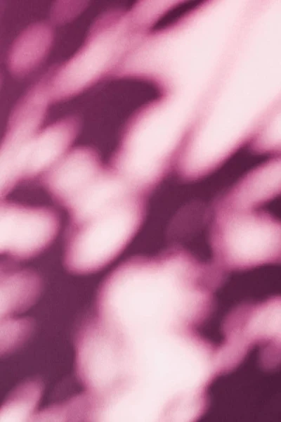 Arte abstrata, sombras botânicas sobreposição no fundo rosa blush — Fotografia de Stock