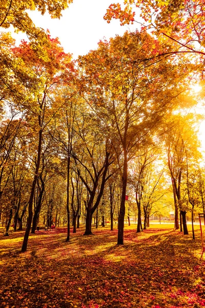 Belo outono paisagem fundo, vintage natureza cena em f — Fotografia de Stock