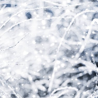 Kış tatili arka plan, parlak kar ve Co ile doğa manzarası