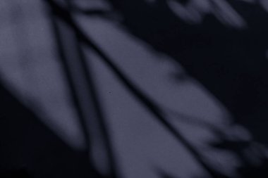 Soyut sanat, botanik gölgeler siyah arkaplan üzerine örtülmüş 