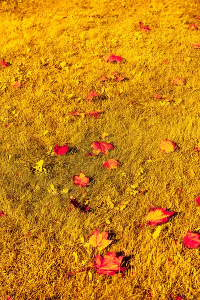 Schöne Herbstlandschaft Hintergrund, Vintage-Natur-Szene in f — Stockfoto