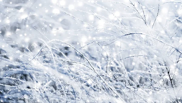 冬休みの背景、光沢のある雪と共同で自然の風景 — ストック写真