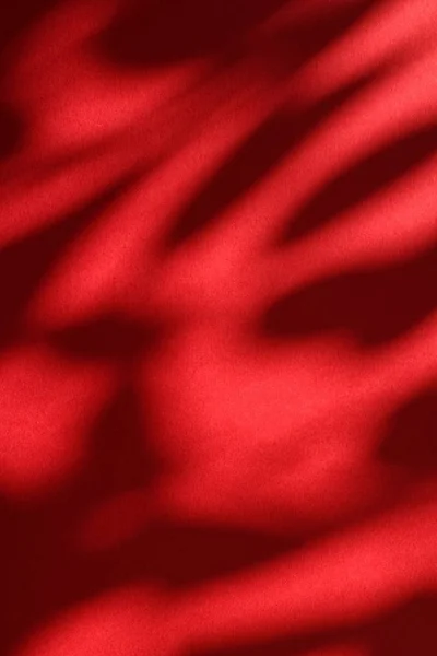 Arte abstrata, sombras botânicas sobreposição no fundo vermelho para ho — Fotografia de Stock