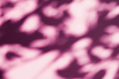 Soyut sanat, pembe arka planda botanik gölgeler