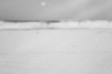 Okyanus manzarası, mükemmel seyahat ve tatil yeri.