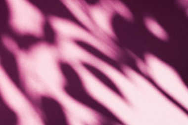 Soyut sanat, pembe arka planda botanik gölgeler