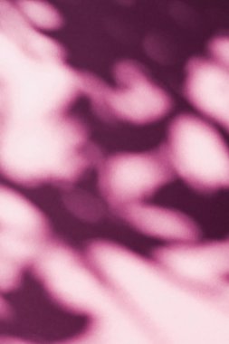 Soyut sanat, pembe arka planda botanik gölgeler