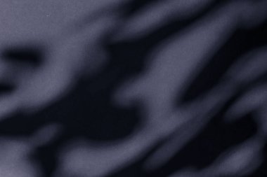 Soyut sanat, botanik gölgeler siyah arkaplan üzerine örtülmüş 