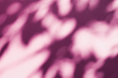 Soyut sanat, pembe arka planda botanik gölgeler