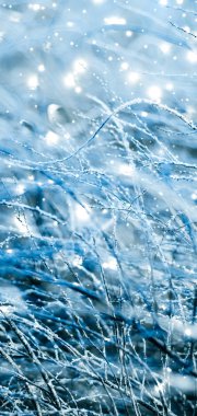 Kış tatili arka plan, parlak kar ve Co ile doğa manzarası