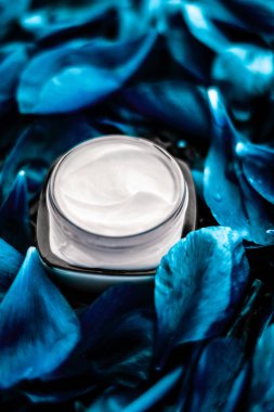 Mavi çiçek çantasındaki yüz derisi için lüks yüz kremi nemlendiricisi