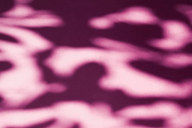 Soyut sanat, pembe arka planda botanik gölgeler