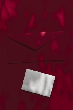 Flatlay model tasarımı olarak güzellik markası kimliği, bir kartvizit...