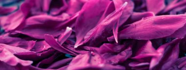 Soyut çiçek arka plan, suda Mor çiçek yaprakları