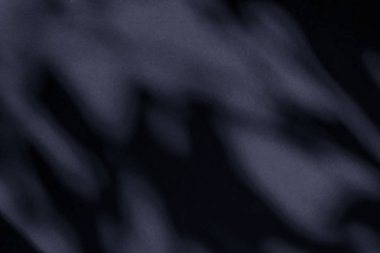 Soyut sanat, botanik gölgeler siyah arkaplan üzerine örtülmüş 