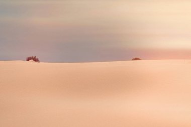 Okyanus manzarası, mükemmel seyahat ve tatil yeri.