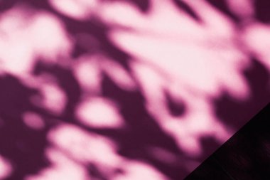 Soyut sanat, pembe arka planda botanik gölgeler