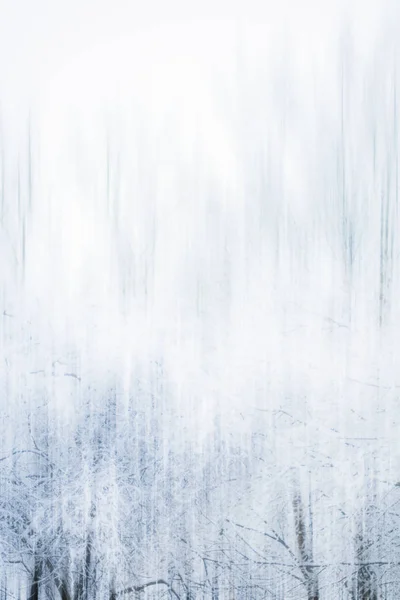 Winter season abstract nature art print and Christmas landscape