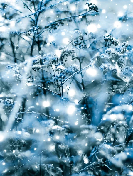 Winter vakantie achtergrond, natuur landschap met glanzende sneeuw en co — Stockfoto