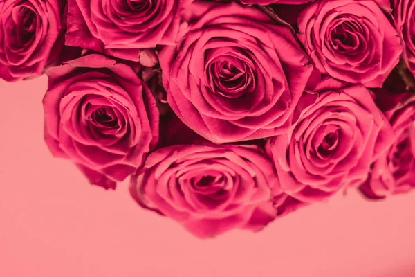 Ramo de lujo romántico de rosas rosadas, flores en flor como flora — Foto de Stock