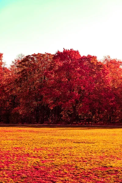 Hermoso paisaje de otoño de fondo, escena de la naturaleza vintage en f —  Fotos de Stock