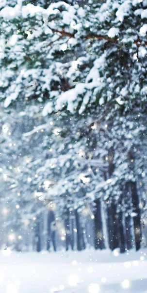 冬休みの背景、光沢のある雪と共同で自然の風景 — ストック写真