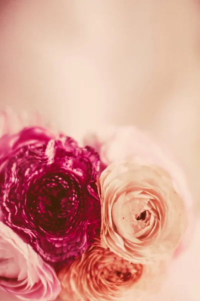 Ramo vintage de rosas florecientes fondo, elegante pre floral — Foto de Stock