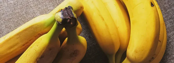 Organic bananas on rustic linen background — Stock Photo, Image