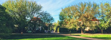 Baharda çiçek açan ağaçlar Şehir parkında