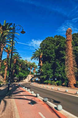 Kasabada boş yollar ve palmiye ağaçları