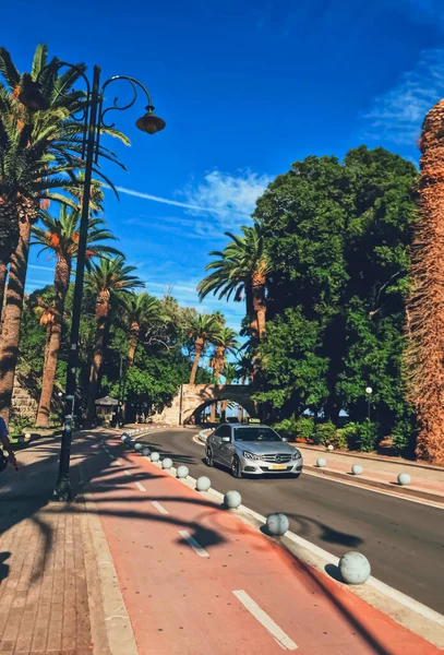 Carretera vacía y palmeras en la ciudad —  Fotos de Stock