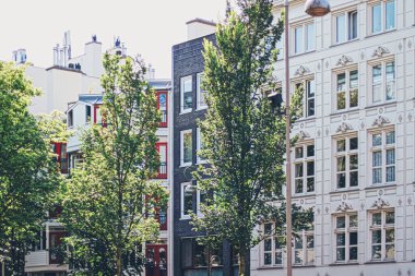 Hollanda 'daki Amsterdam şehir merkezindeki ana şehir caddesi.