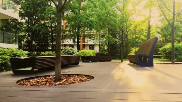 Wooden bench in a modern park at sunset, architecture and outdoor design — Stock Footage Wooden bench in a modern park at sunset, architecture and outdoor design Stock Footage