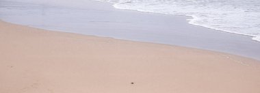 Güzel deniz ya da okyanus dalgaları, tropik kumsal manzarası, yaz tatili seyahati ve tatil beldesi