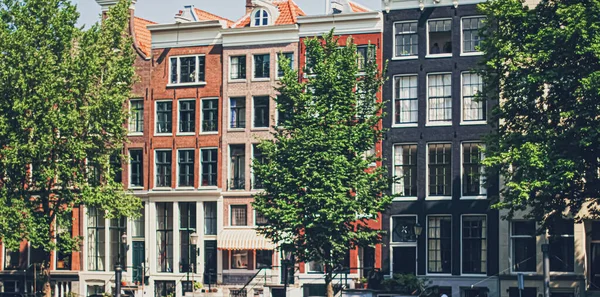 Calle principal del centro en el centro de Ámsterdam en los Países Bajos — Foto de Stock