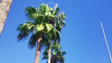 Marina Yat Kulübü Bodrum, şehir merkezinin sokakları ve manzarası.