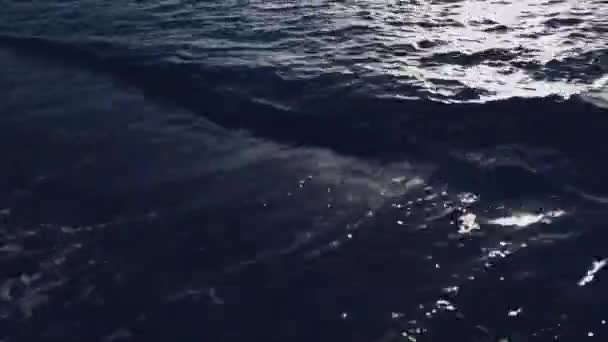 Belles vagues océaniques sur la plage de sable, voyage de vacances et destination de vacances d'été — Video