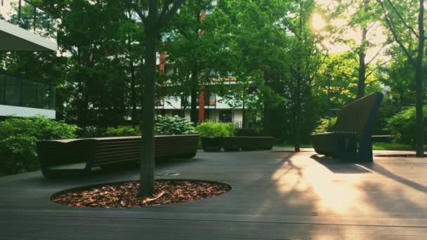 Wooden bench in a modern park at sunset, architecture and outdoor design — Stock Footage Wooden bench in a modern park at sunset, architecture and outdoor design Royalty Free Stock Video
