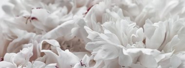 Çiçek buketi lüks bir çiçek arka planı, düğün dekorasyonu ve markalaşma.