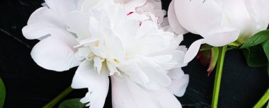 Çiçek olarak çiçek açan şakayık çiçekleri, bitki örtüsü ve lüks markalaşma