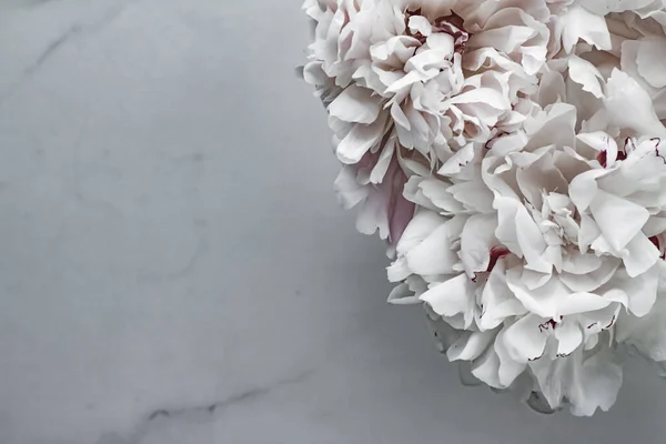 Bouquet di fiori di peonia come sfondo floreale di lusso, decorazione di nozze e branding di eventi — Foto Stock