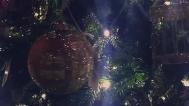 Brüksel 'de Noel süsleri ve tatil alışverişi