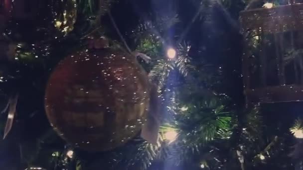 Christmas decorations and holiday shopping in Brussels — Stock Footage Christmas decorations and holiday shopping in Brussels Royalty Free Stock Footage