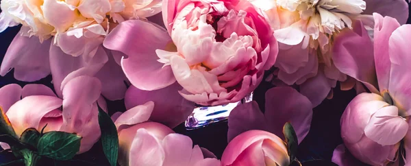 Pink peony flowers as floral art background, botanical flatlay and luxury branding — Stock Photo, Image