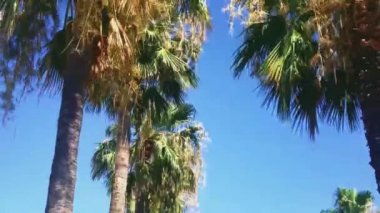 Marina Yat Kulübü Bodrum, şehir merkezinin sokakları ve manzarası.